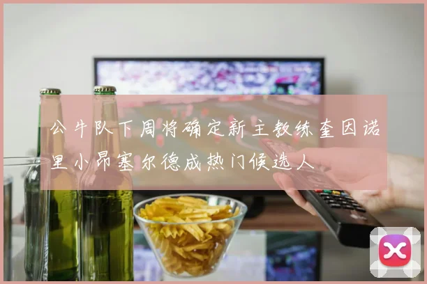 公牛队下周将确定新主教练奎因诺里小昂塞尔德成热门候选人